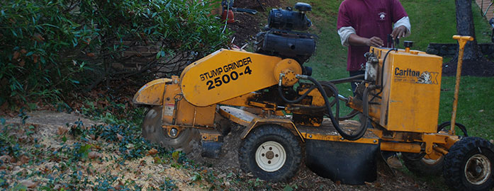 Stump Grinding